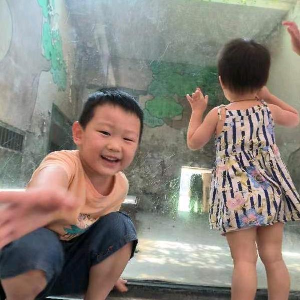 橙子1