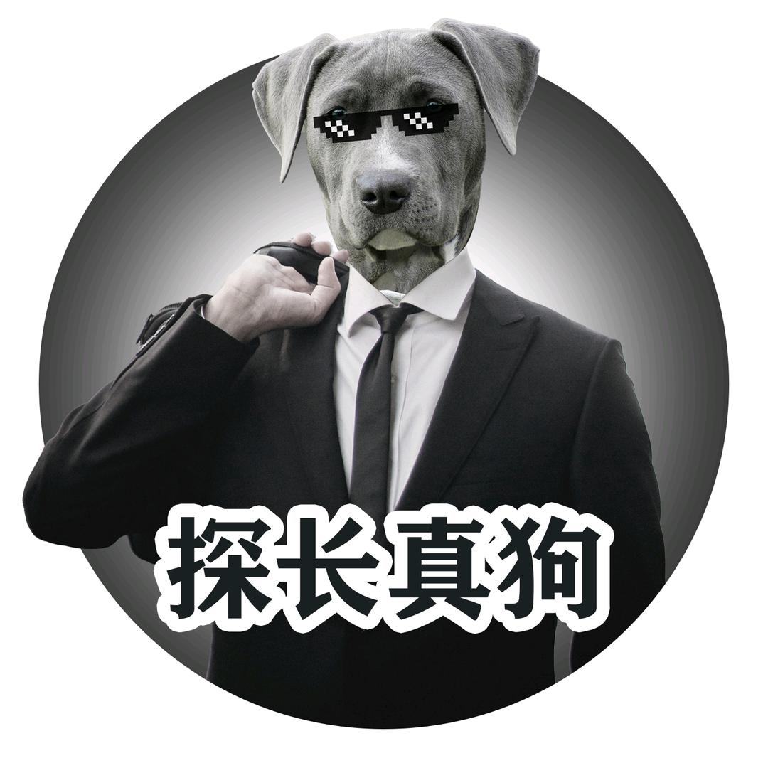 探长真狗