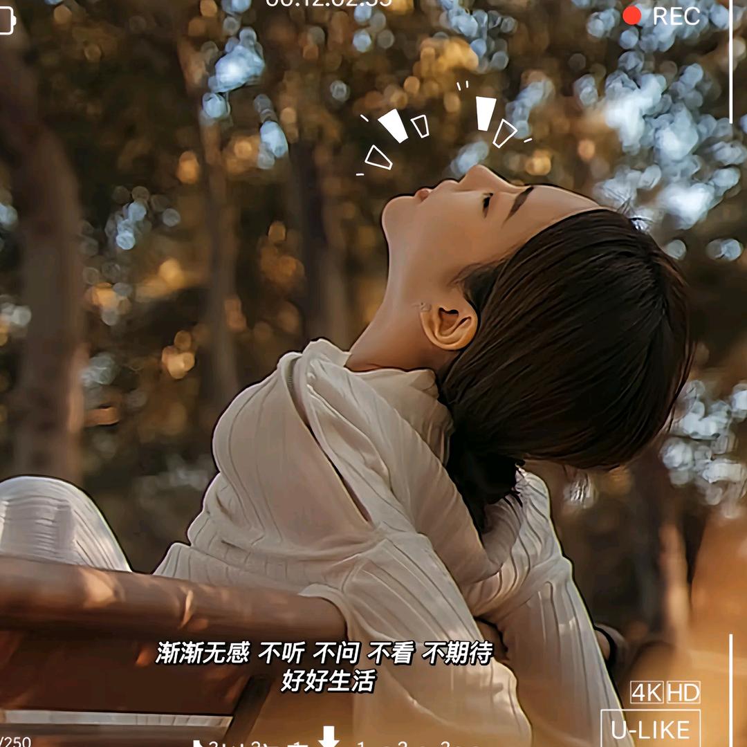 清茶小酒渡余年