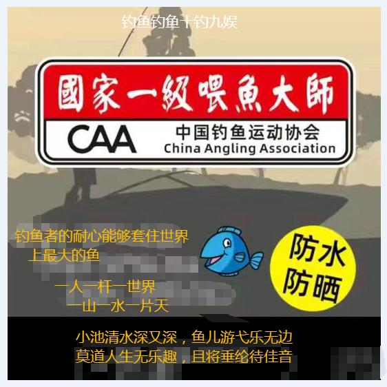 我的故事你读不懂
