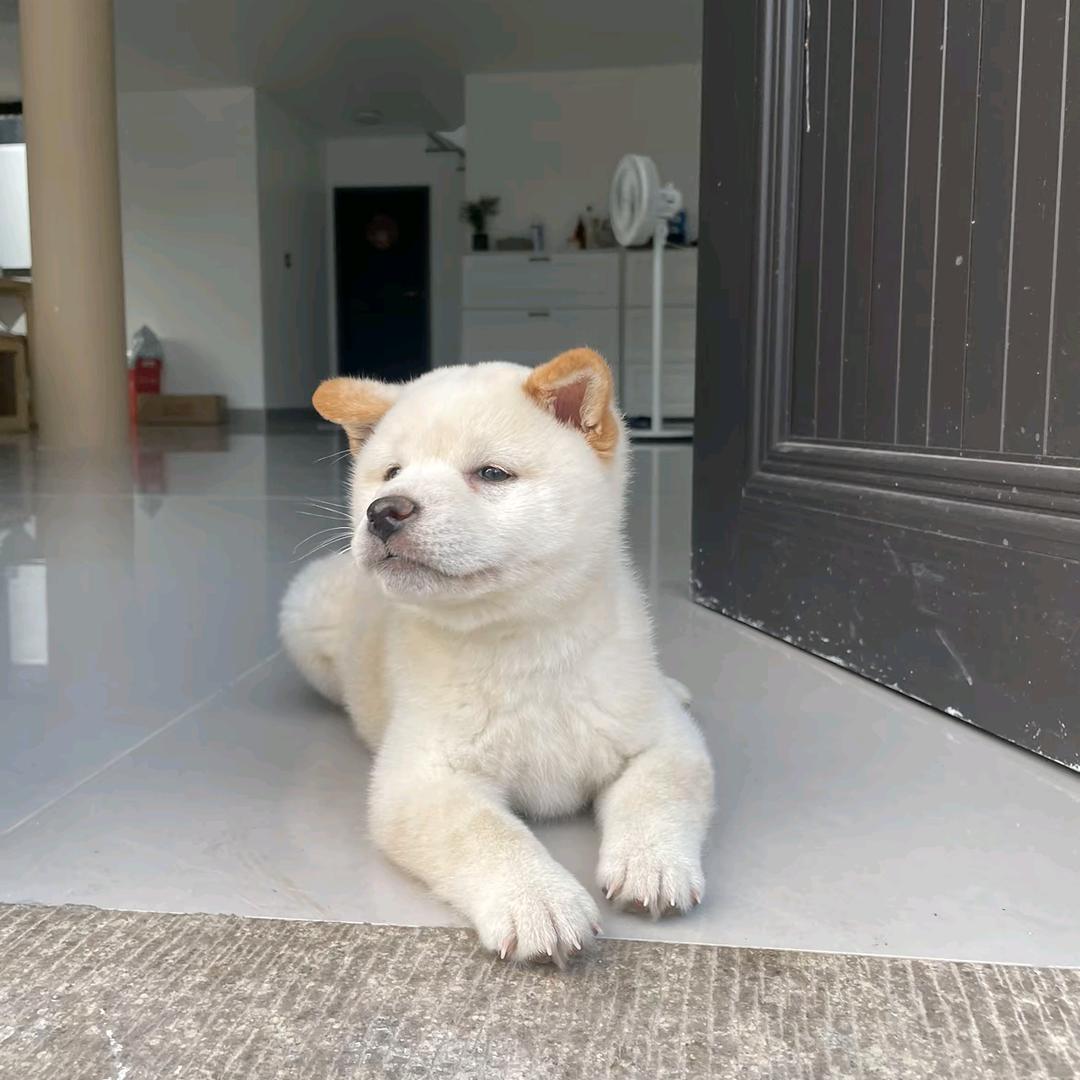 此号已注销