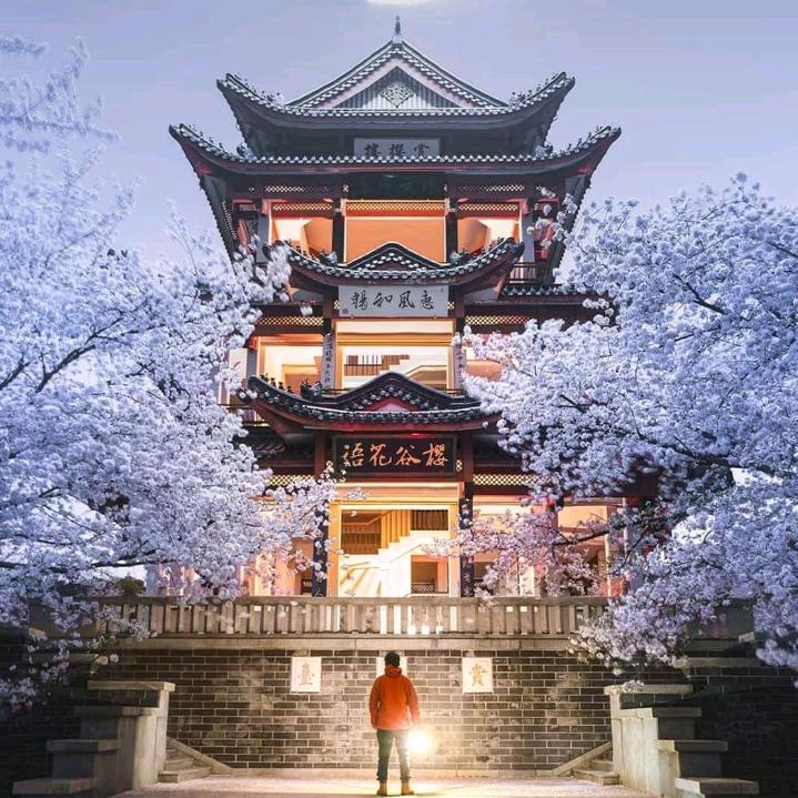 不期而遇