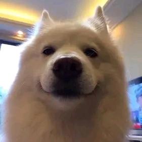 开心万岁