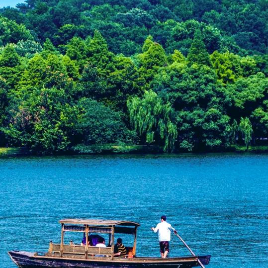 好歌曲看看万物