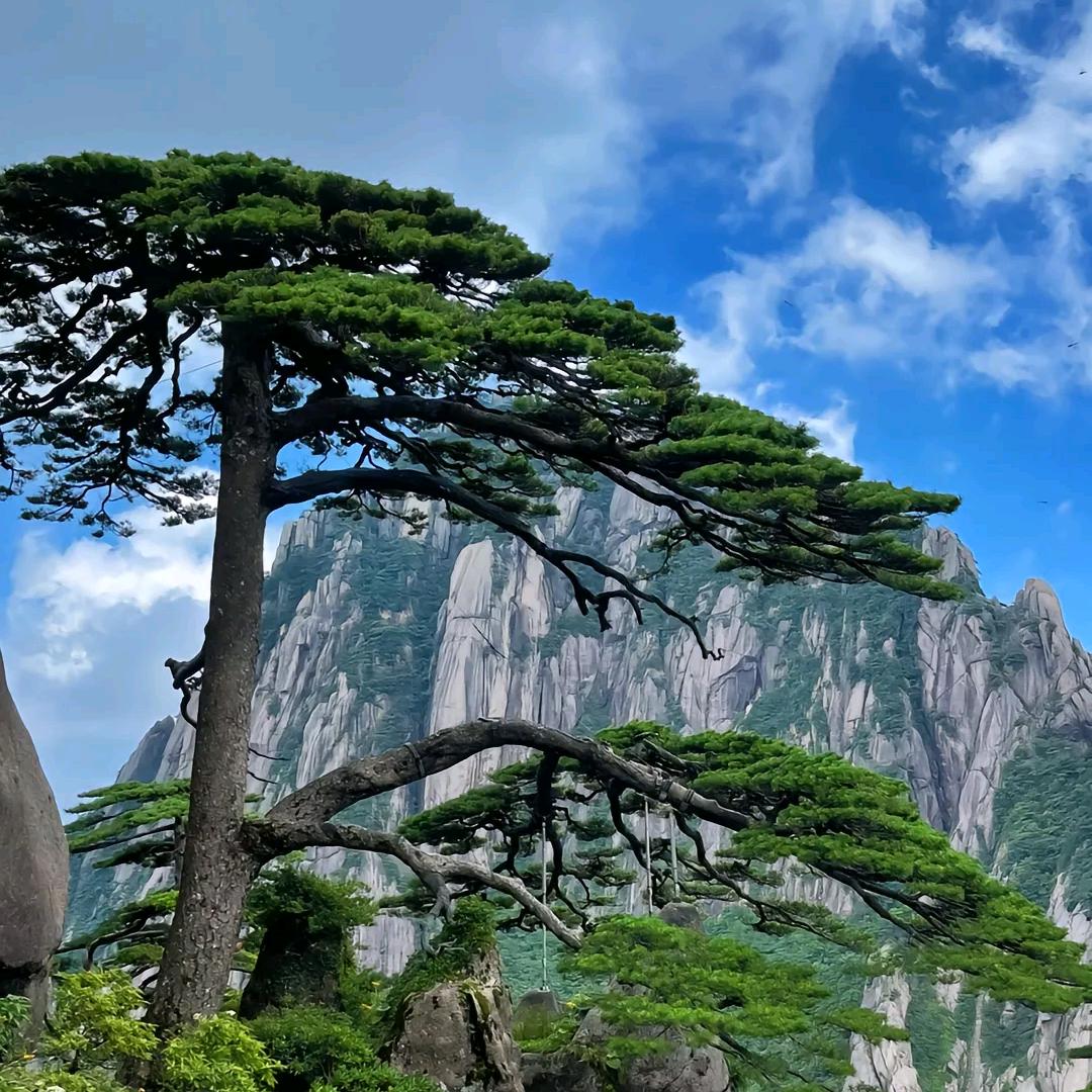 法律剧场