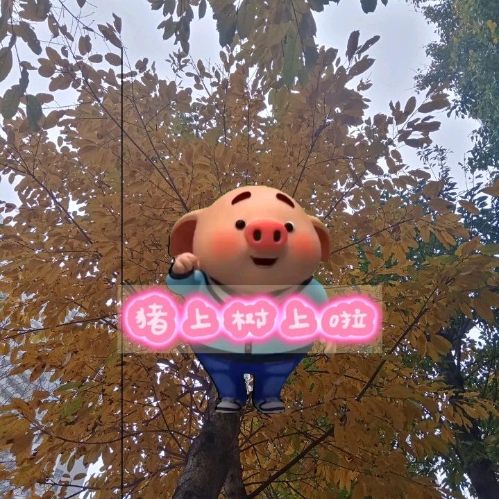 @速算24