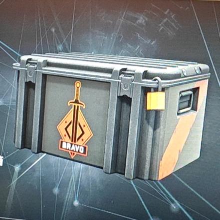 英勇大行动武器箱