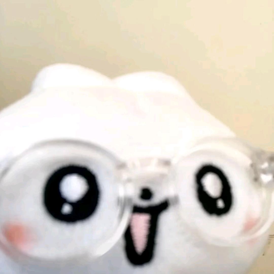 支吾猪