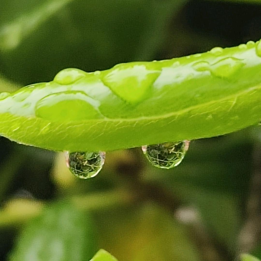 曾经的承诺