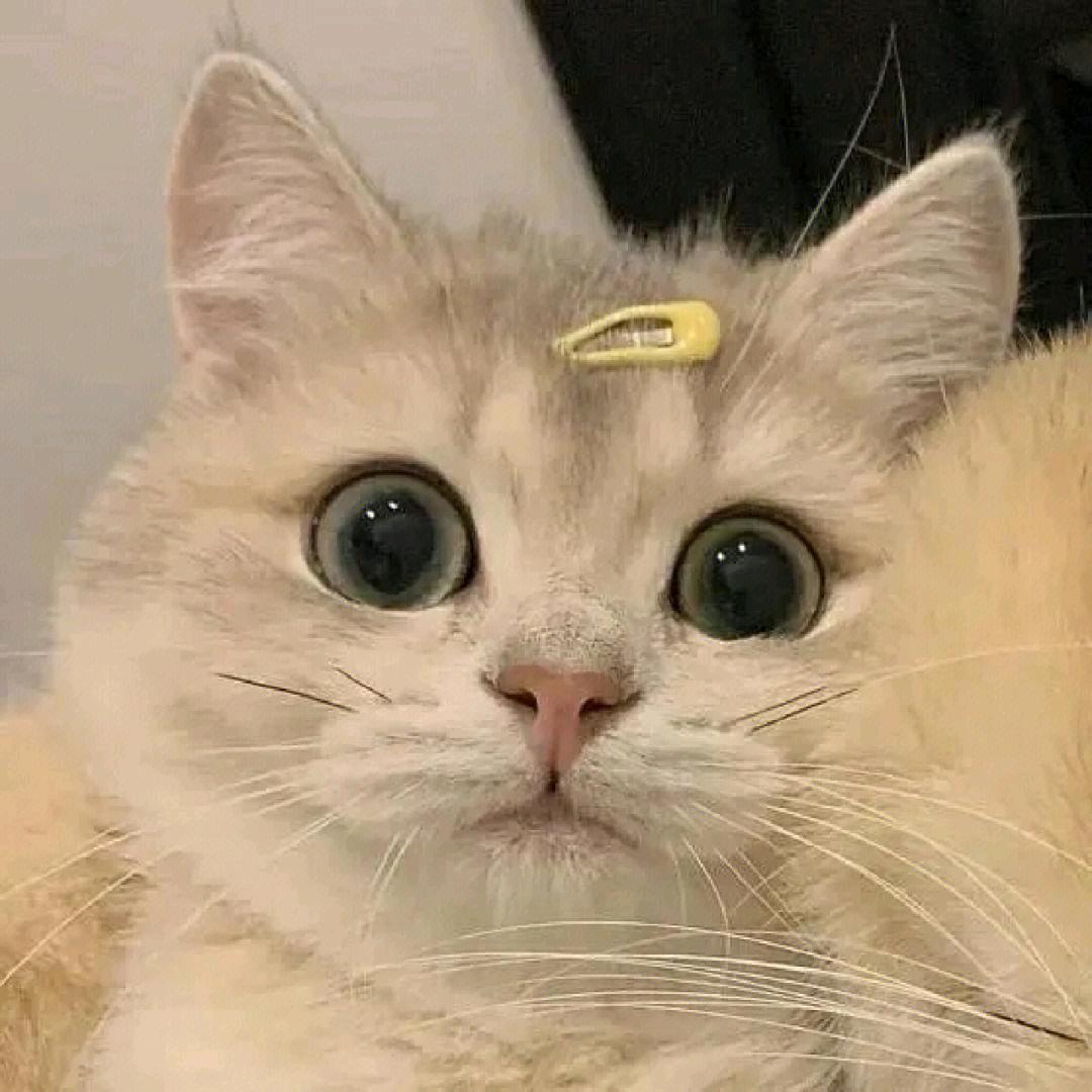 上上签～