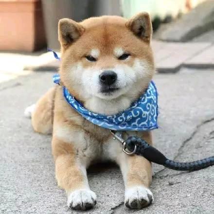 🌈不会哭的阿木木