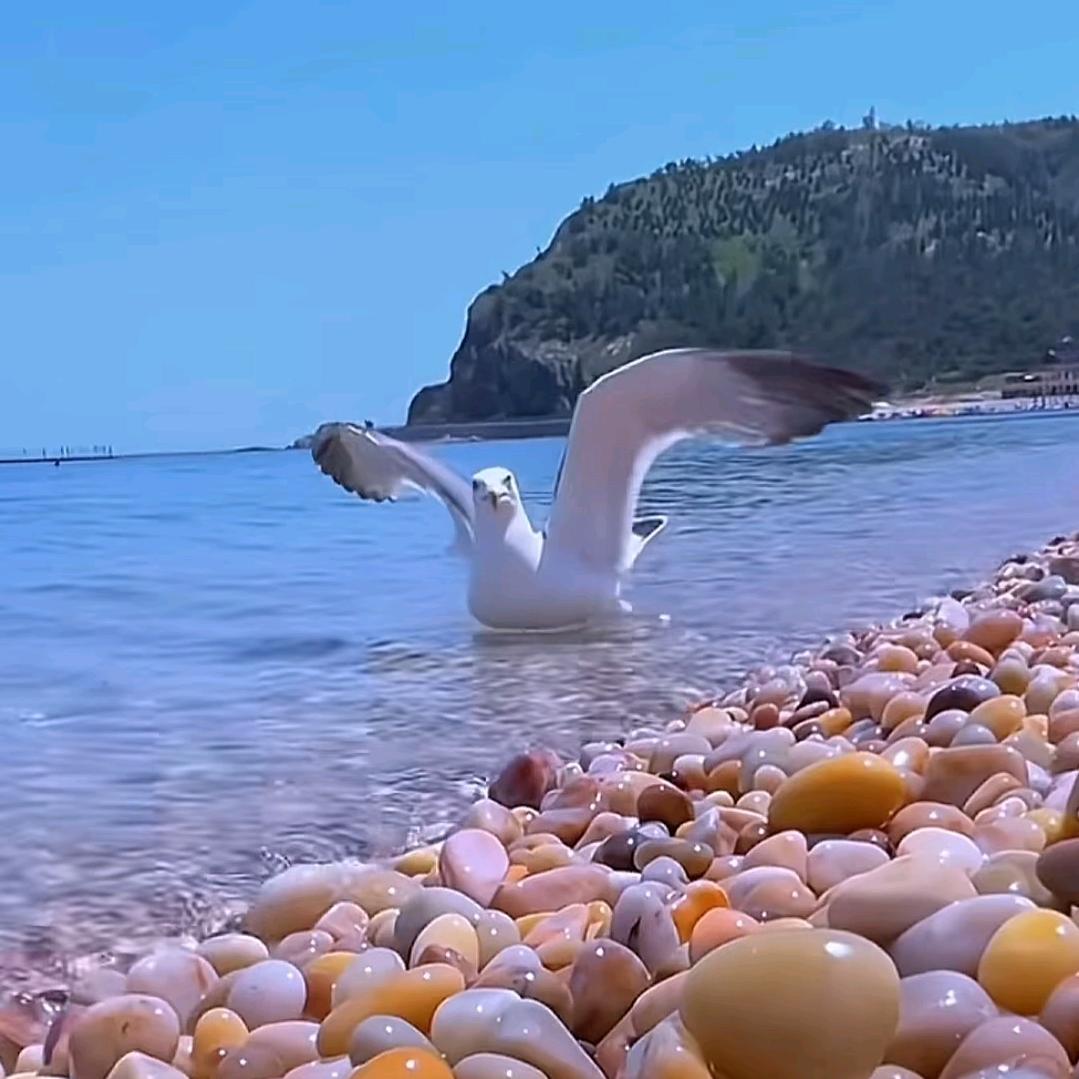 逃之夭夭