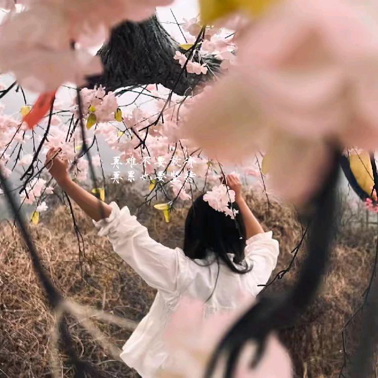 通透姐｡◕‿‿◕。