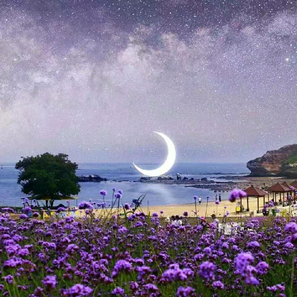 洋阳短剧