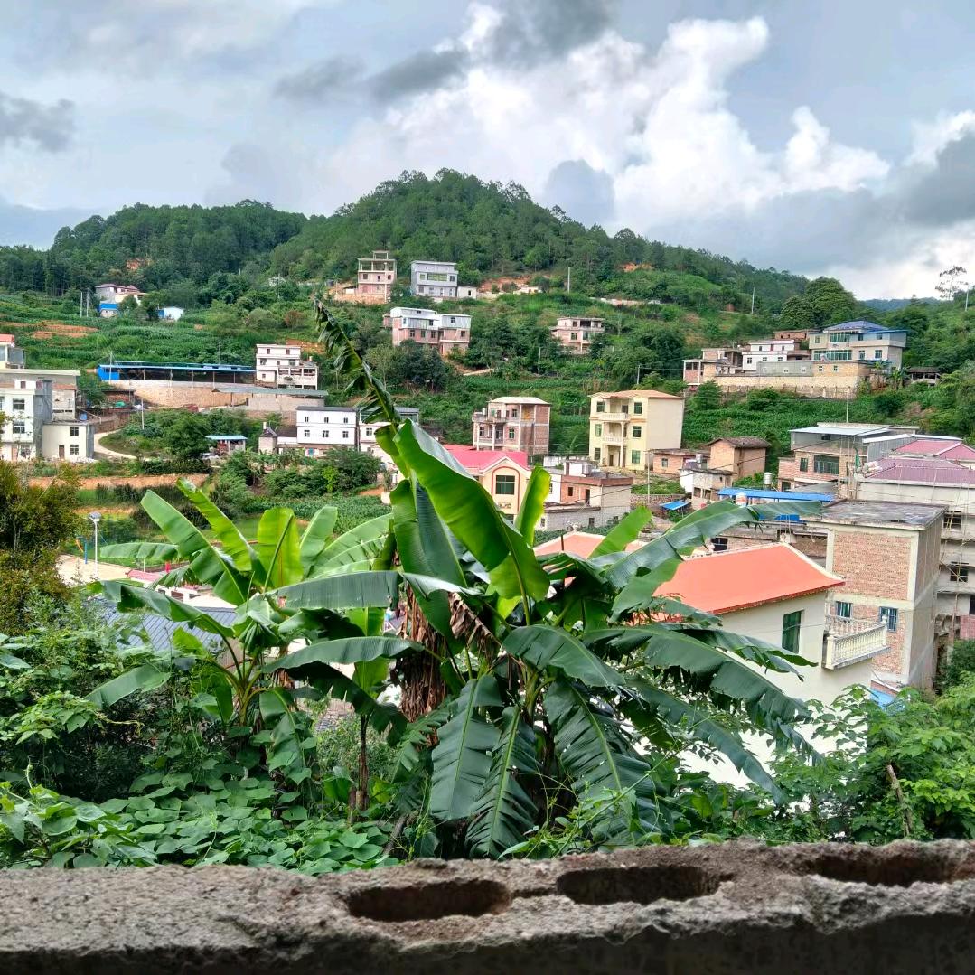 露水情缘