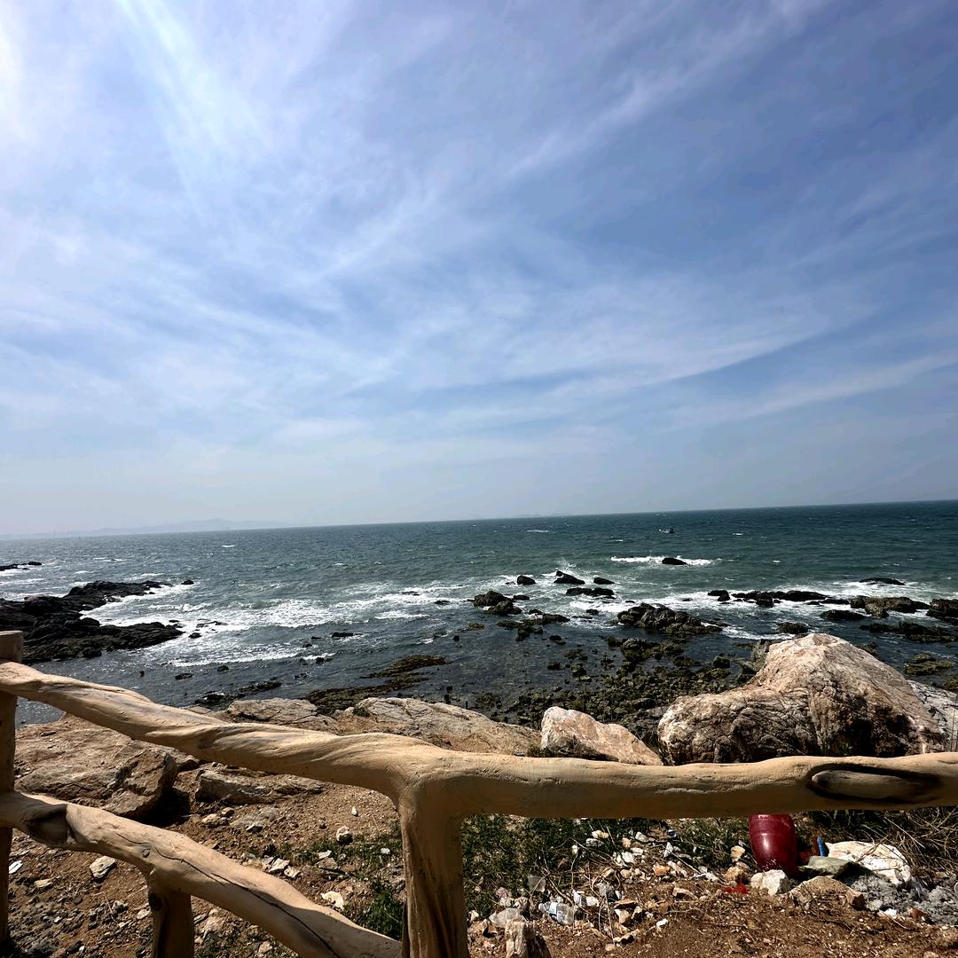 生如逆旅，一苇以航