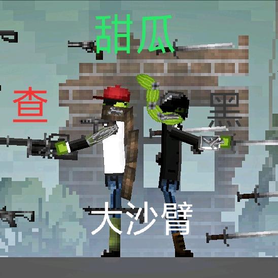 爱玩甜瓜的查某人~~