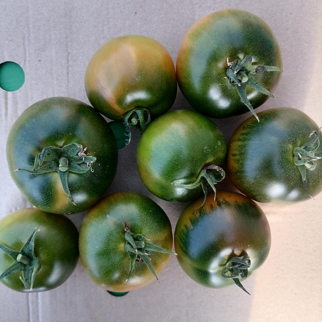 云朵东北农产品