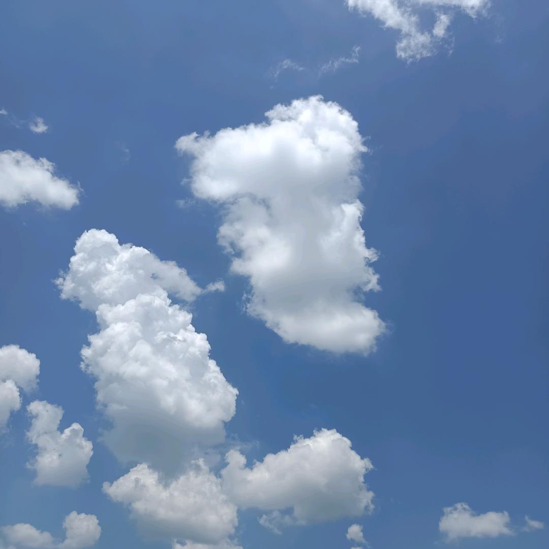 有梦，寻梦，追梦。