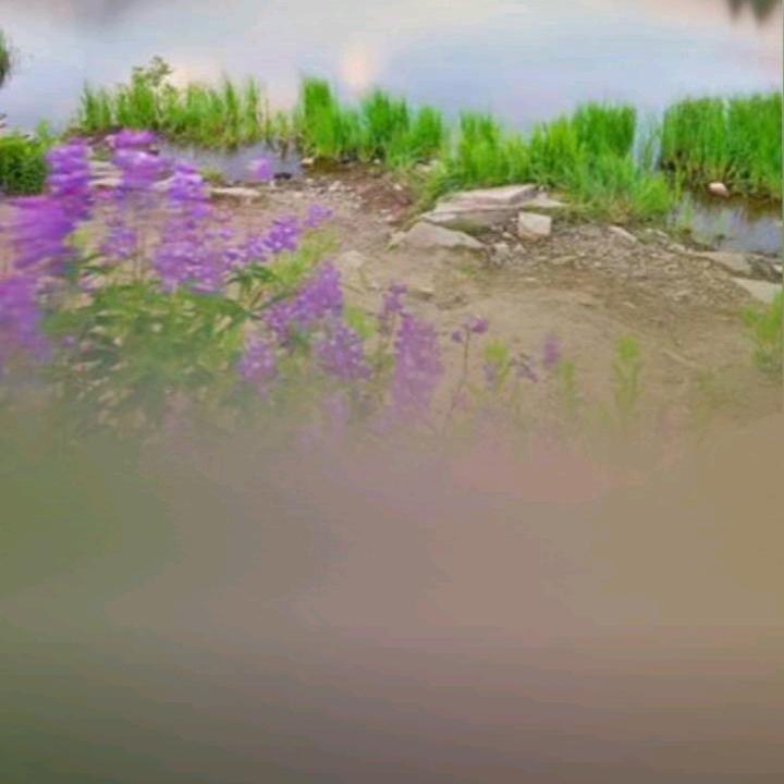甘平