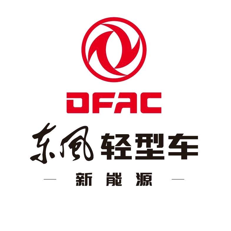 东风股份新能源