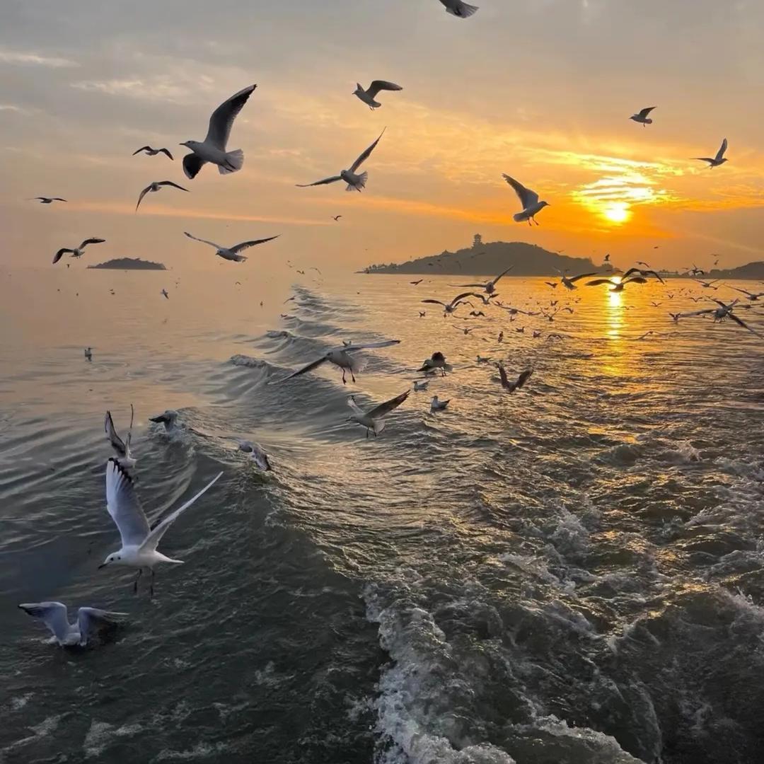 999感冒灵包治百病