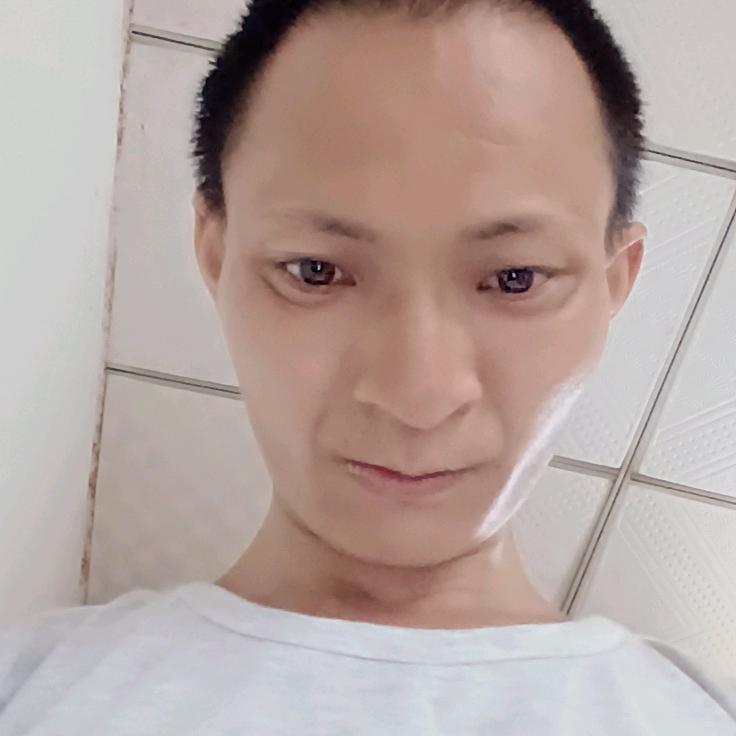 金珍