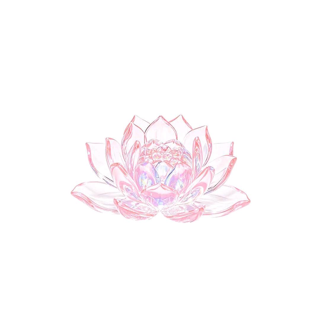 是老五啊