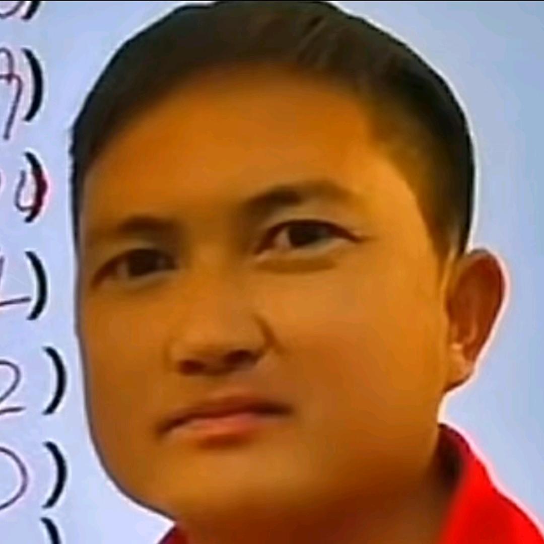 暹罗猫你为什么要踹我