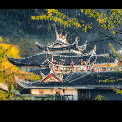 手可摘星陈