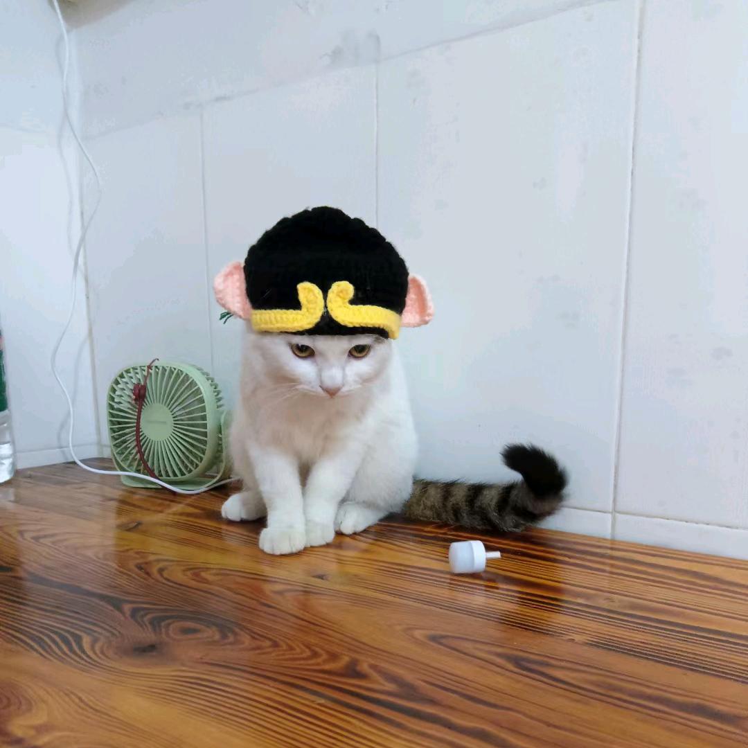 🌈心语👑星愿❤️