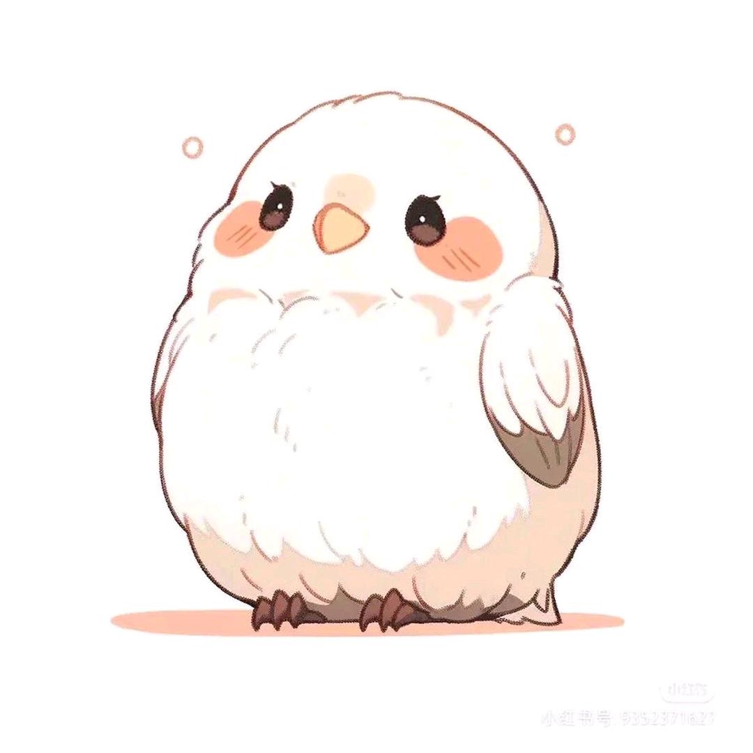 我是小胖鸟