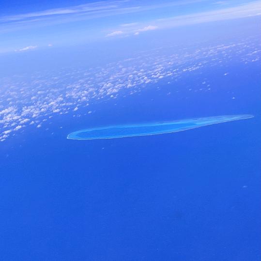 大龙