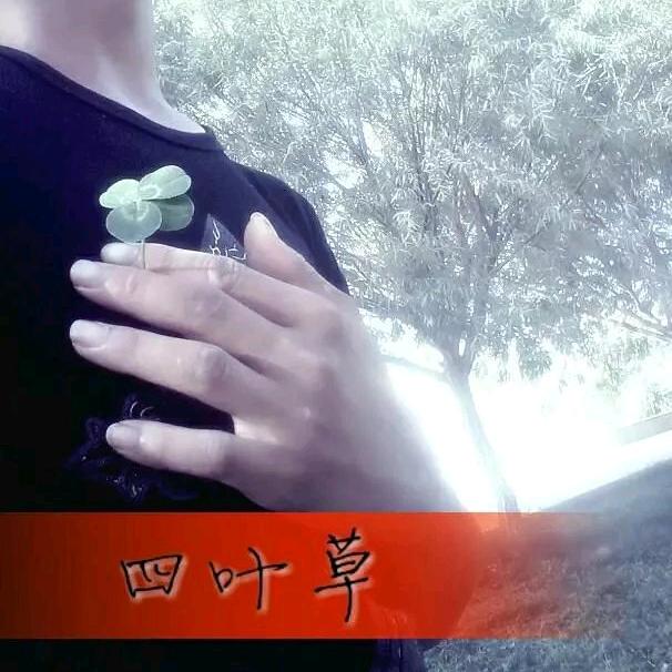 @四叶草🍀
