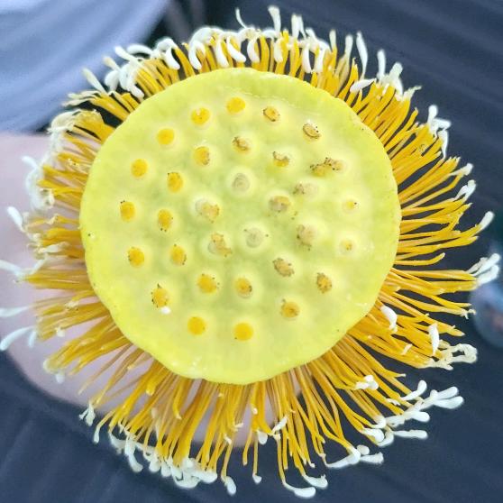 时光记忆