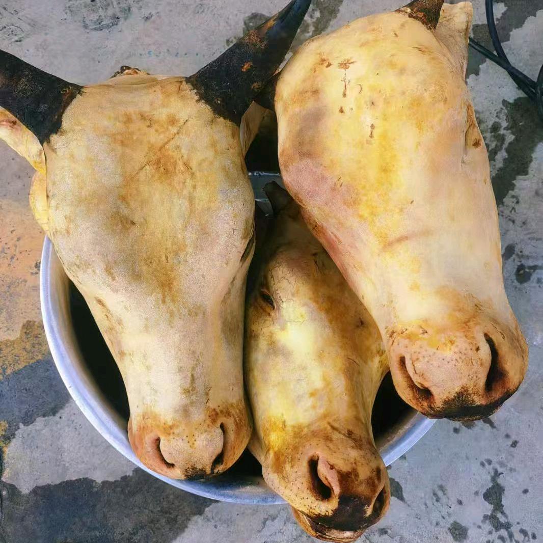 牛羊经营部