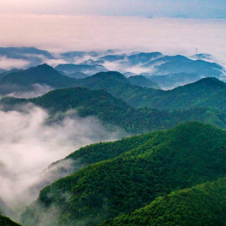 马斯朗的爱情山