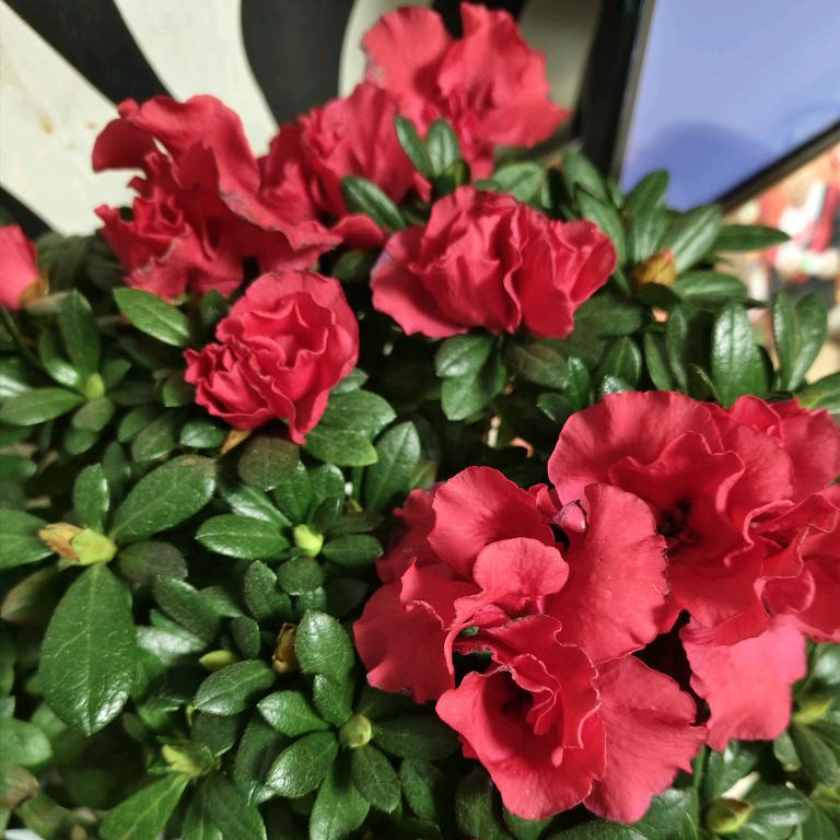 姐弟俩一起努力