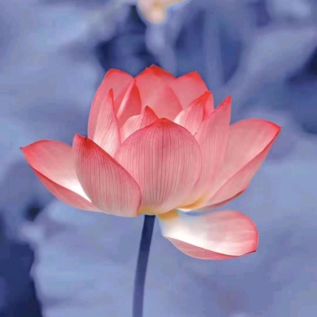 平平安安