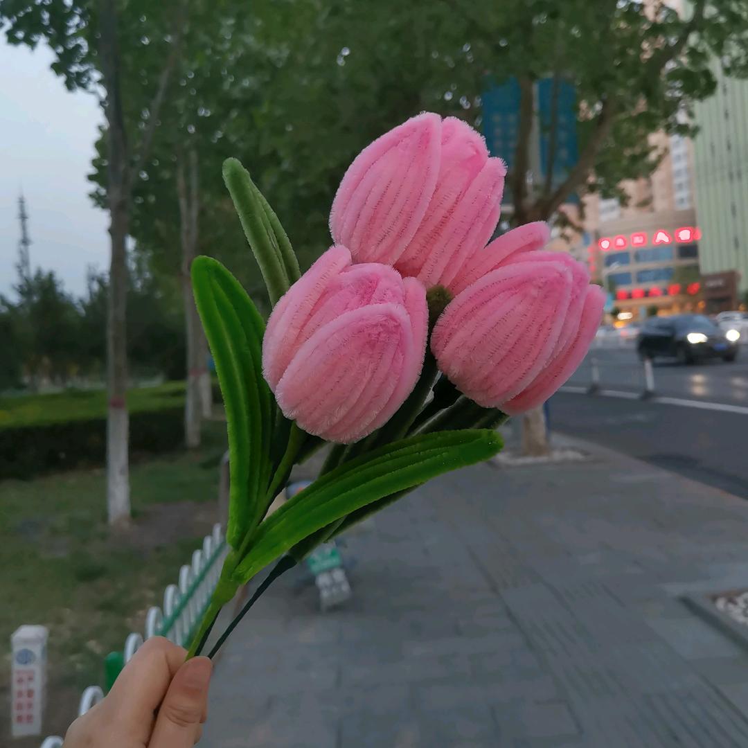 伊墨