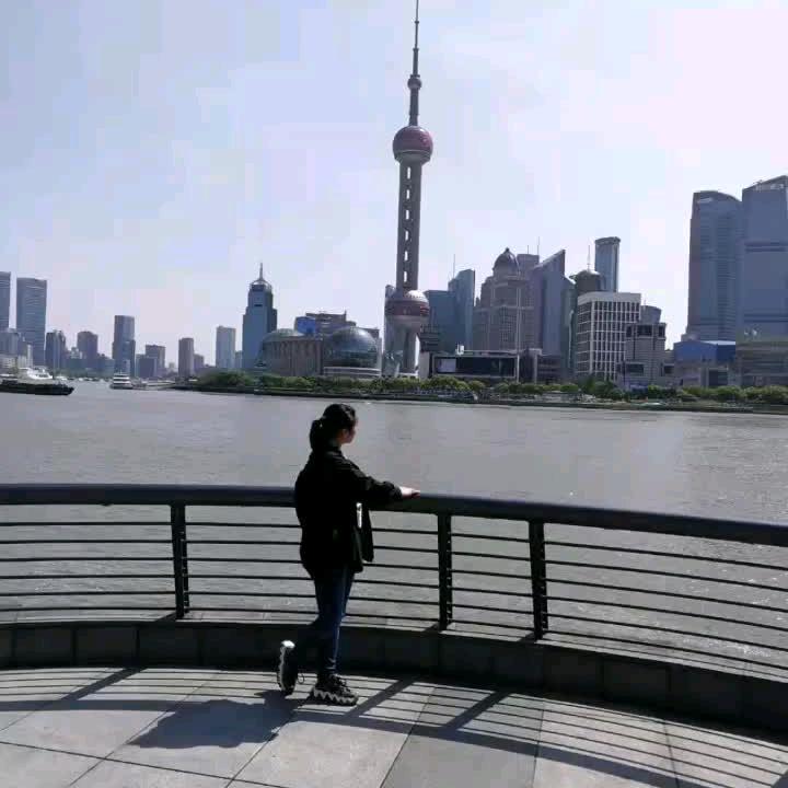 小萌宠