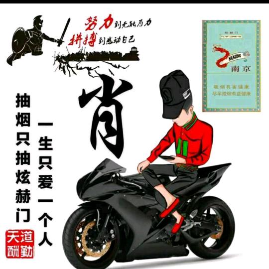 🌿✨仅此💫而已✨🌿