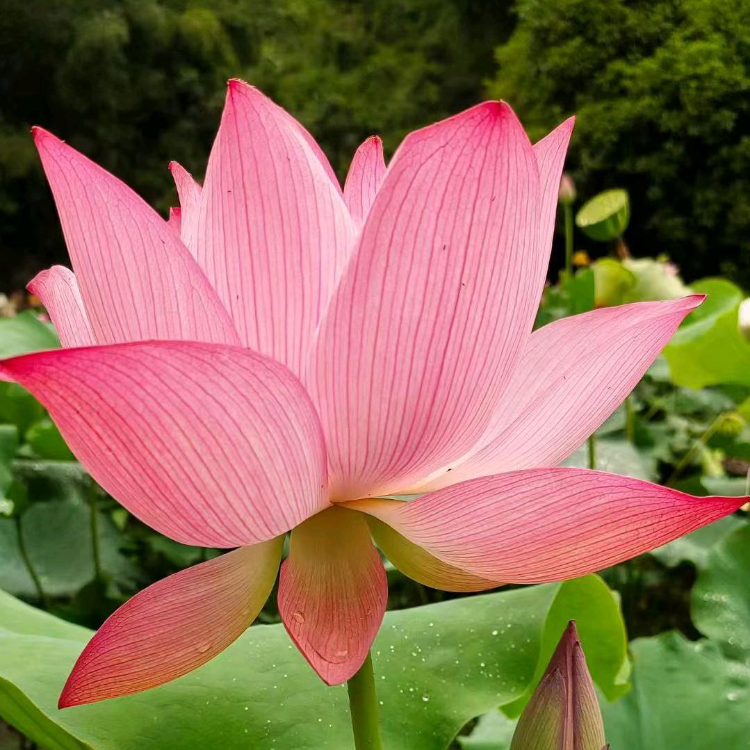 涂抹式源头厂家