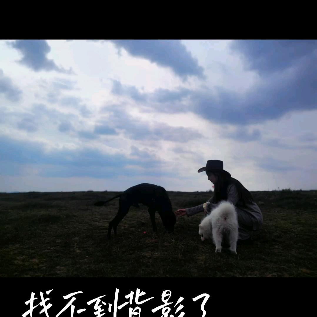 你的中年的抖音