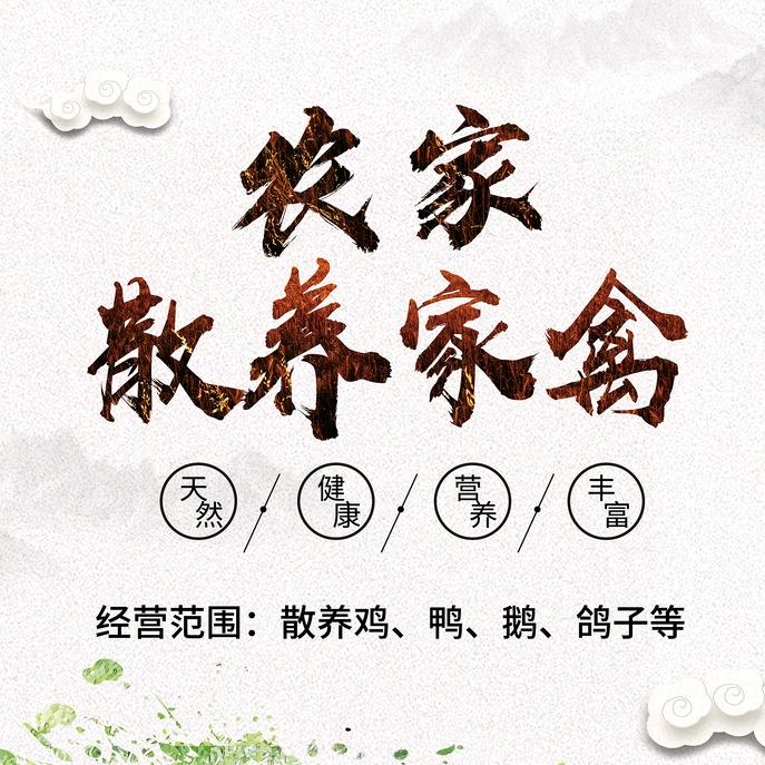 村匪一支花