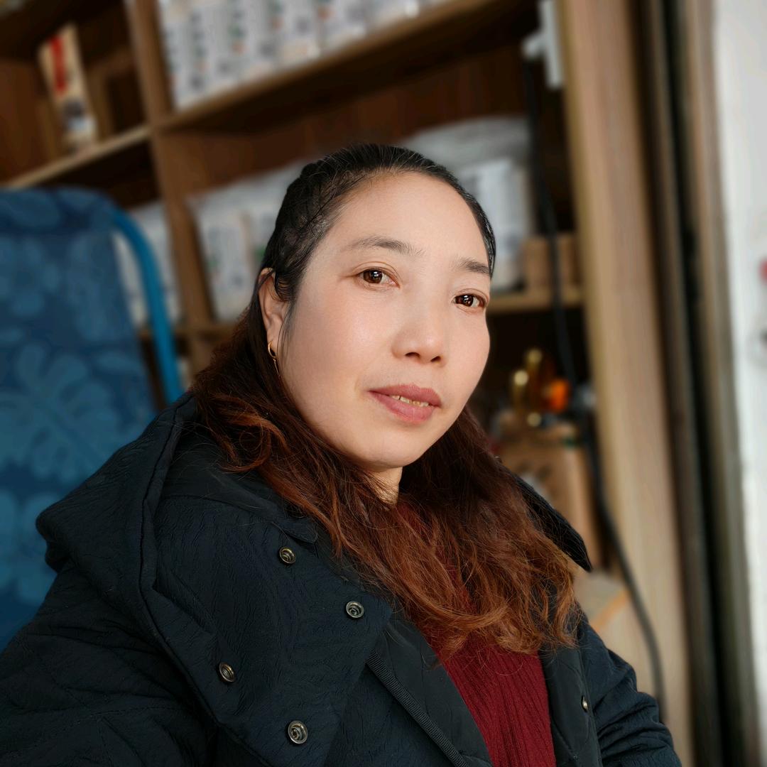 用户燕子