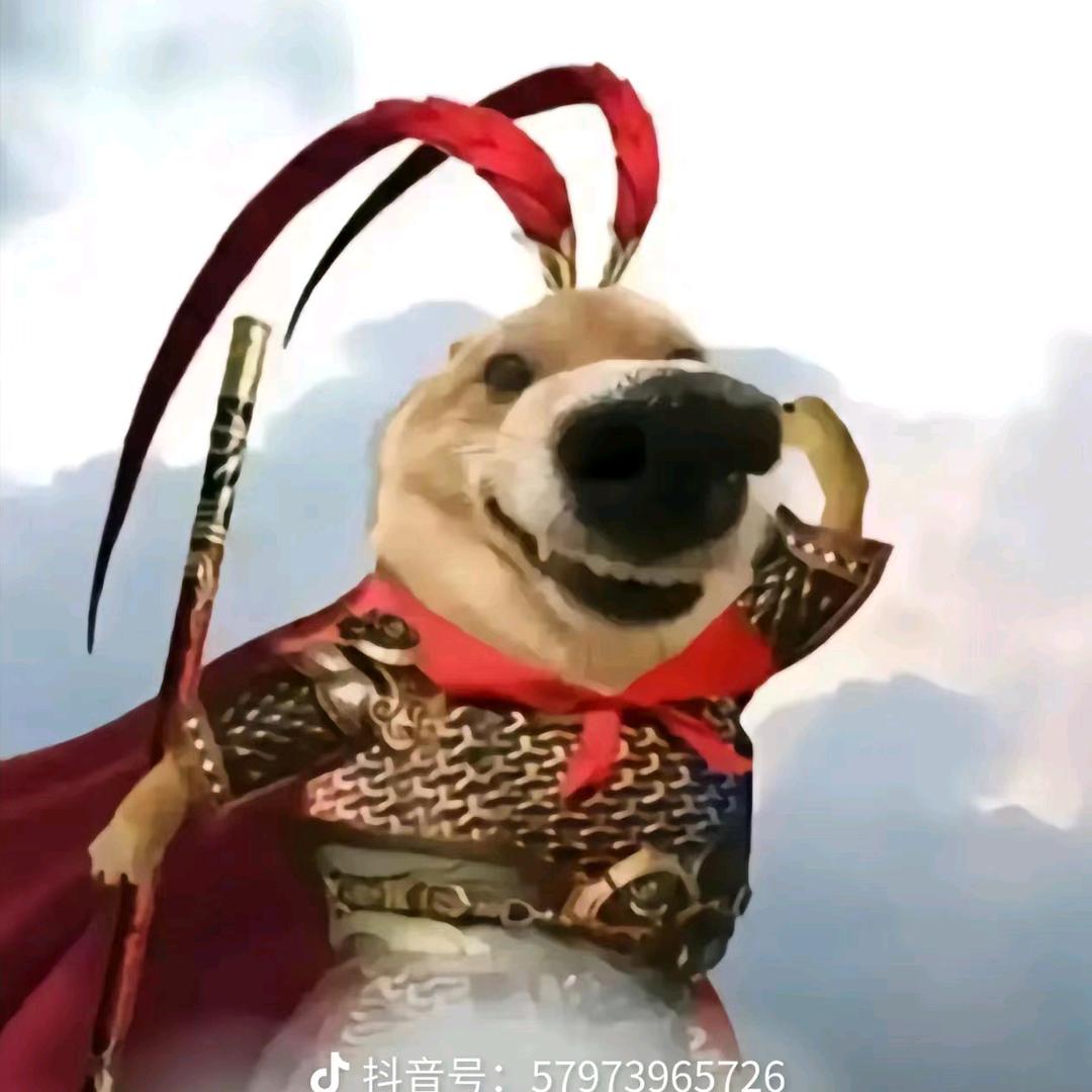 ,,,,,,,,,,