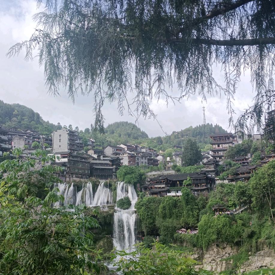 luiyi