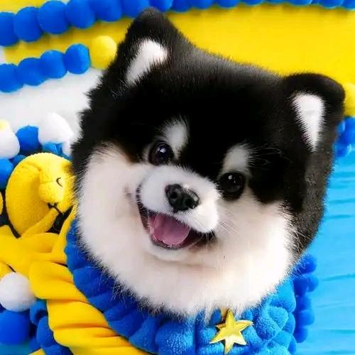 陌陌上