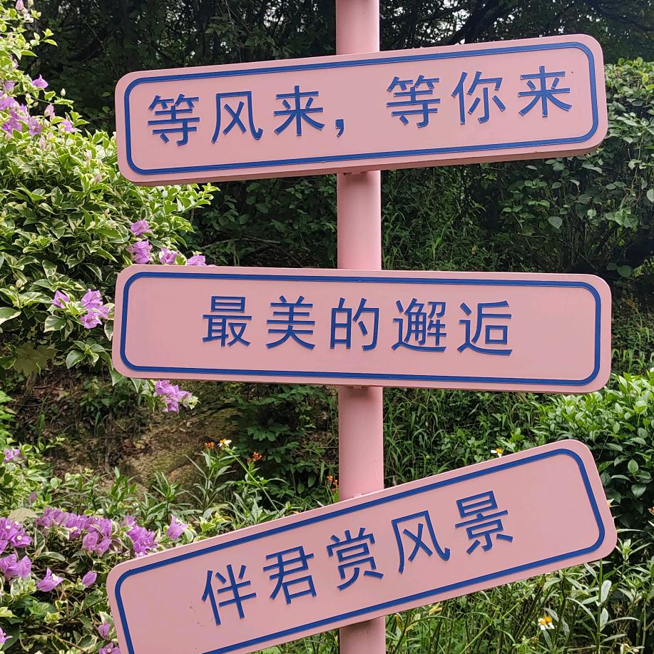 💚⃝姐ི࿆是ᩚྀ࿆限量版᭄💕